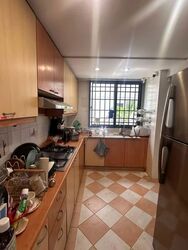 Blk 223A Compassvale Walk (Sengkang), HDB 4 Rooms #587805151